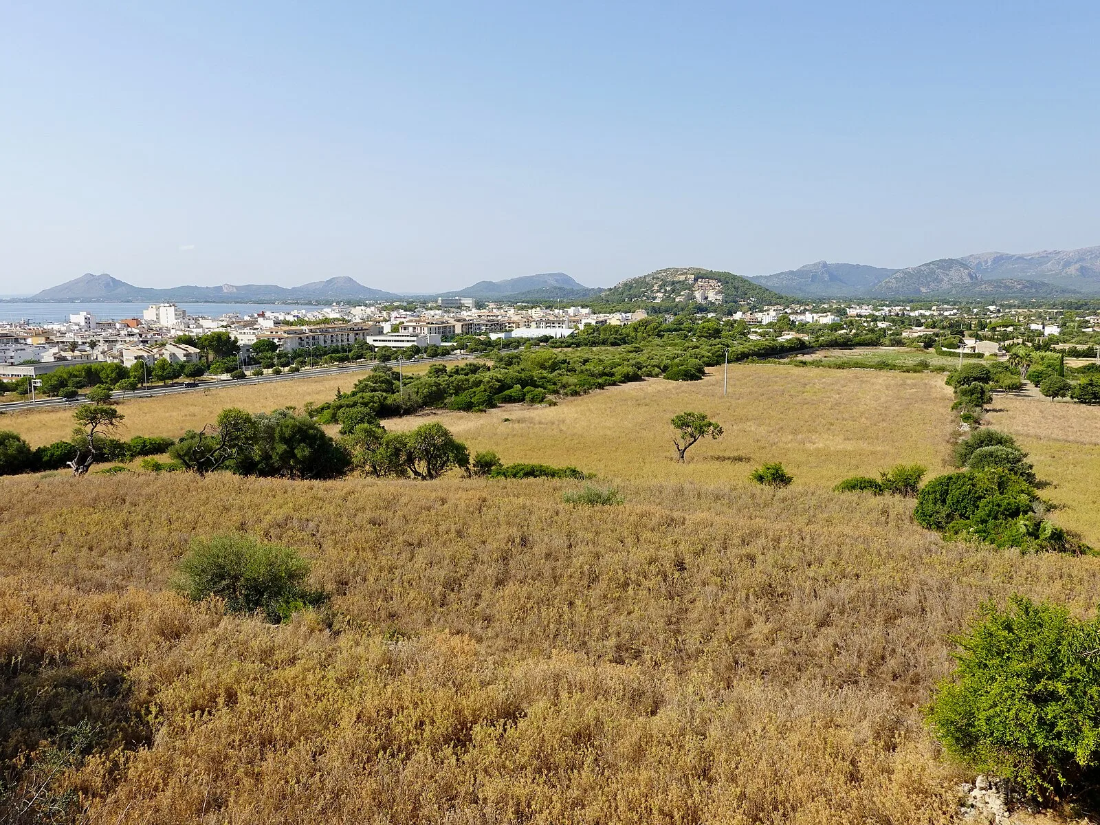Bocchoris - City